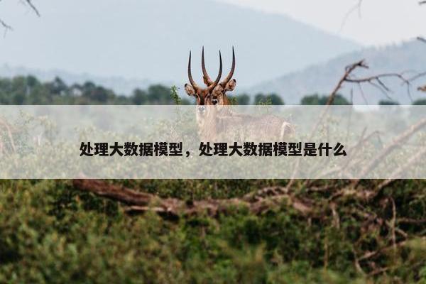 处理大数据模型，处理大数据模型是什么
