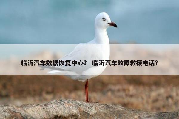 临沂汽车数据恢复中心？ 临沂汽车故障救援电话？