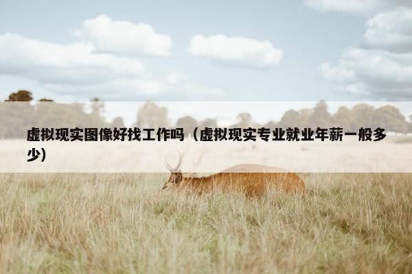 虚拟现实图像好找工作吗（虚拟现实专业就业年薪一般多少）