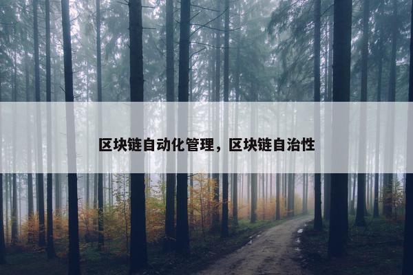 区块链自动化管理，区块链自治性