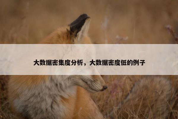 大数据密集度分析，大数据密度低的例子
