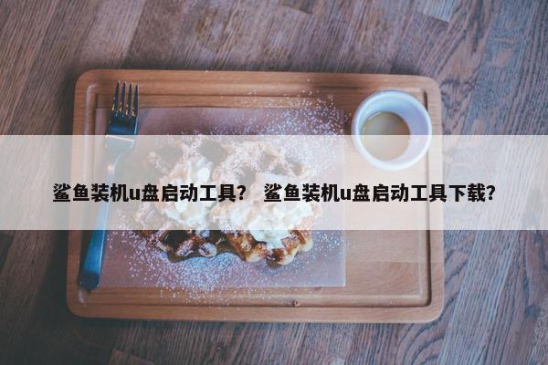 鲨鱼装机u盘启动工具？ 鲨鱼装机u盘启动工具下载？