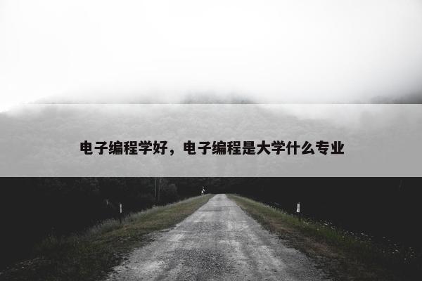 电子编程学好，电子编程是大学什么专业