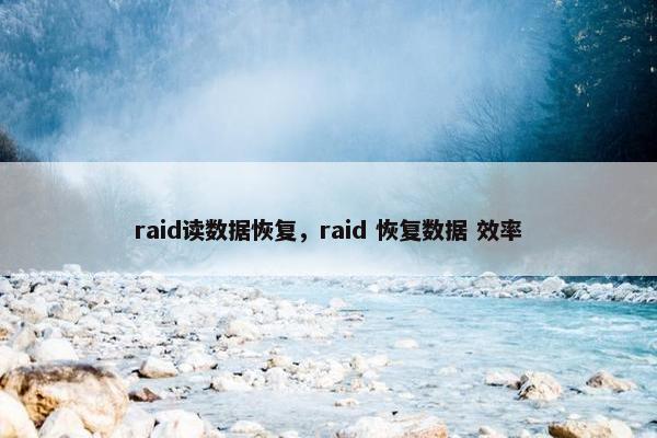 raid读数据恢复，raid 恢复数据 效率