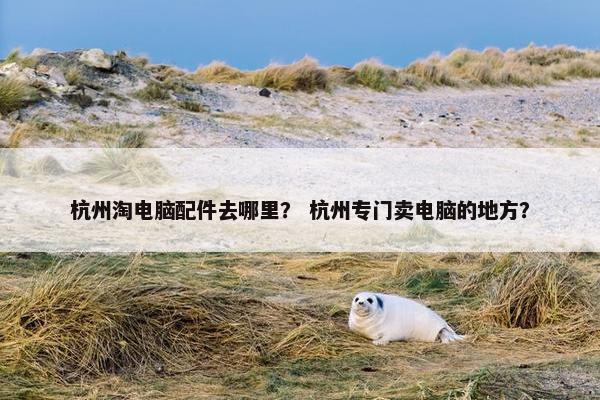 杭州淘电脑配件去哪里？ 杭州专门卖电脑的地方？