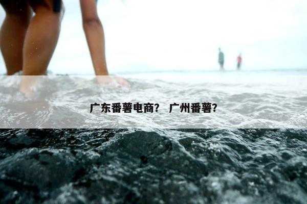 广东番薯电商？ 广州番薯？