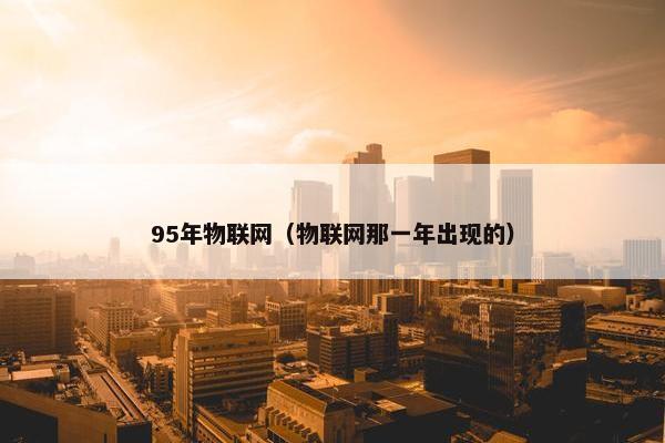 95年物联网（物联网那一年出现的）