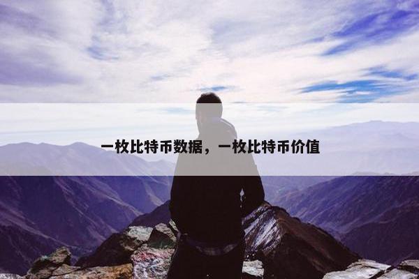 一枚比特币数据，一枚比特币价值