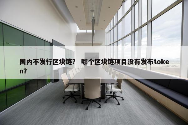 国内不发行区块链？ 哪个区块链项目没有发布token？