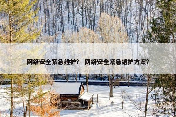 网络安全紧急维护？ 网络安全紧急维护方案？