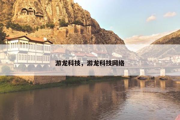 游龙科技，游龙科技网络