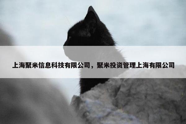 上海聚米信息科技有限公司，聚米投资管理上海有限公司
