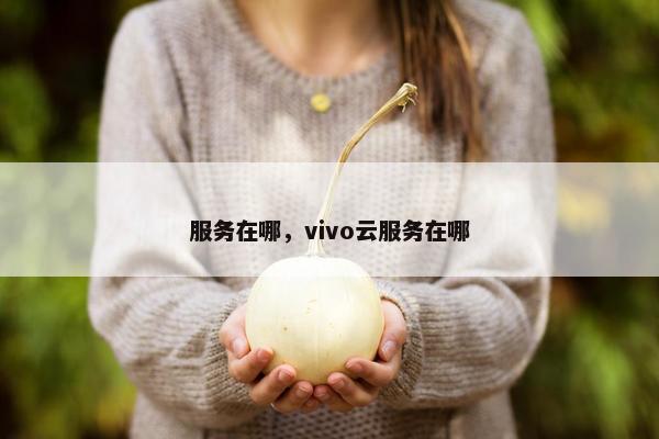 服务在哪，vivo云服务在哪
