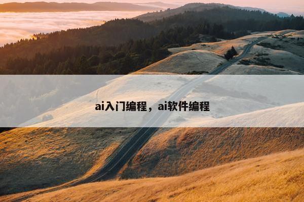 ai入门编程，ai软件编程