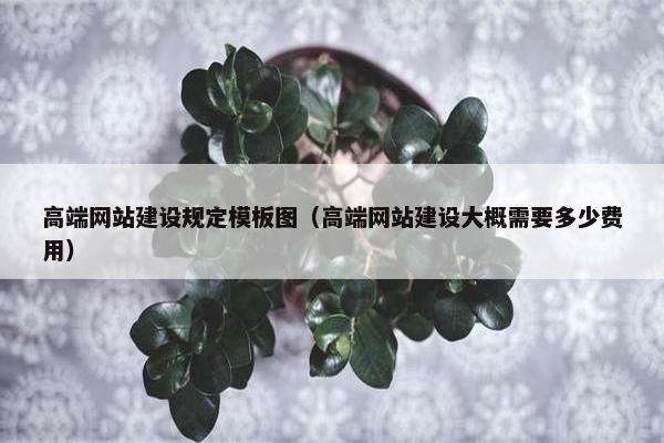 高端网站建设规定模板图（高端网站建设大概需要多少费用）