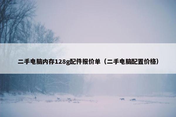 二手电脑内存128g配件报价单（二手电脑配置价格）