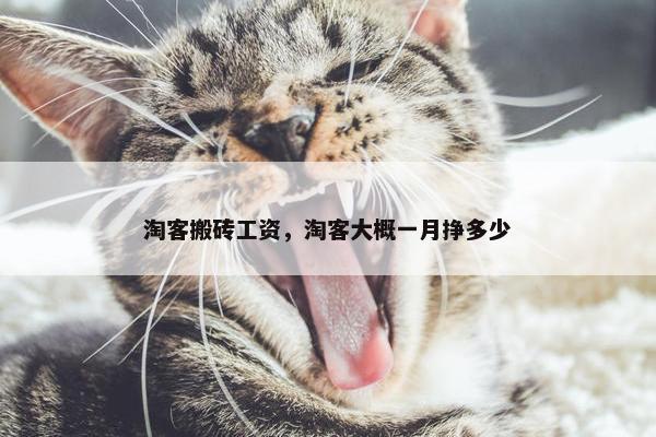 淘客搬砖工资，淘客大概一月挣多少