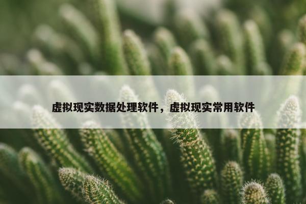 虚拟现实数据处理软件，虚拟现实常用软件