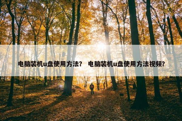 电脑装机u盘使用方法？ 电脑装机u盘使用方法视频？
