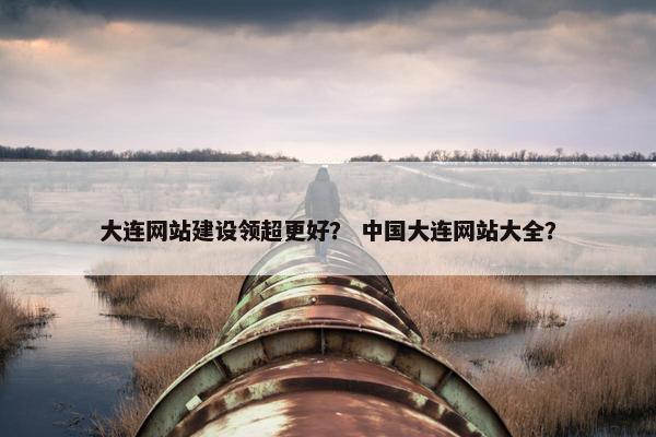大连网站建设领超更好？ 中国大连网站大全？