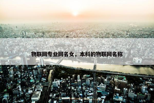 物联网专业网名女，本科的物联网名称