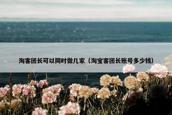 淘客团长可以同时做几家（淘宝客团长账号多少钱）