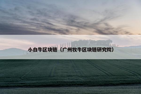 小白牛区块链（广州牧牛区块链研究院）