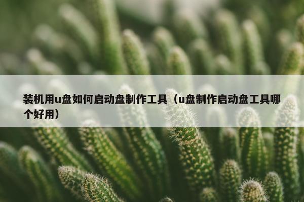 装机用u盘如何启动盘制作工具（u盘制作启动盘工具哪个好用）