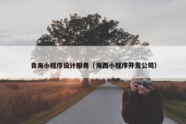 青海小程序设计服务（海西小程序开发公司）