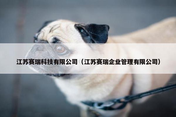 江苏赛瑞科技有限公司（江苏赛瑞企业管理有限公司）