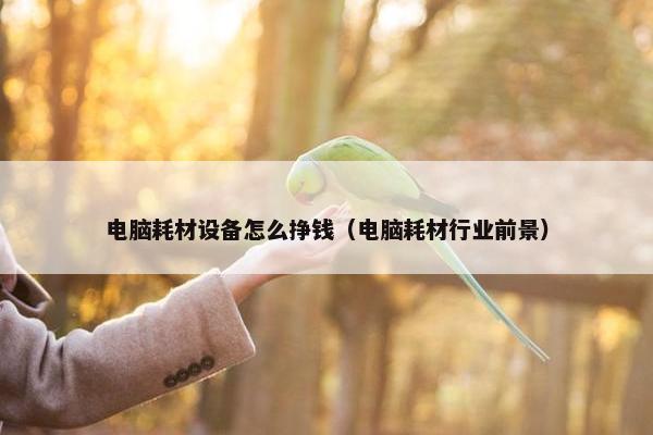 电脑耗材设备怎么挣钱（电脑耗材行业前景）