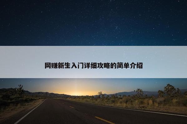 网赚新生入门详细攻略的简单介绍