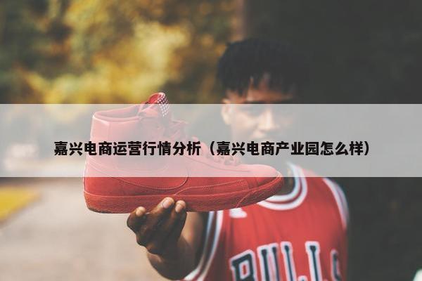 嘉兴电商运营行情分析（嘉兴电商产业园怎么样）