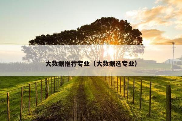大数据推荐专业（大数据选专业）
