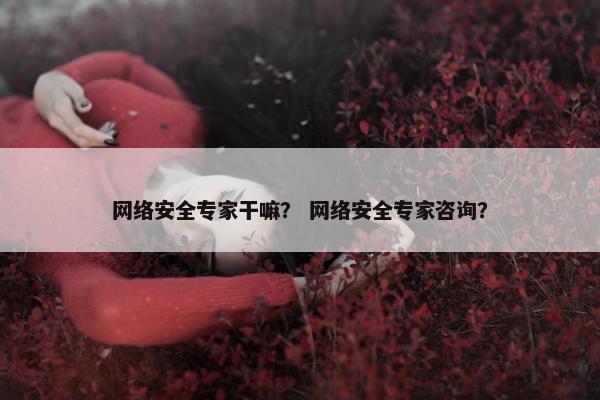网络安全专家干嘛？ 网络安全专家咨询？