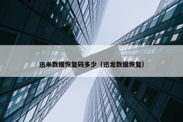 迅米数据恢复码多少（迅龙数据恢复）