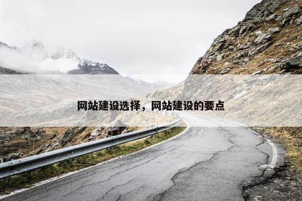 网站建设选择，网站建设的要点