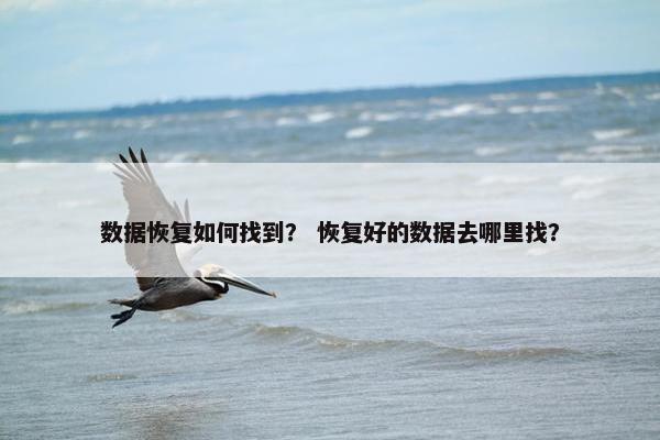 数据恢复如何找到？ 恢复好的数据去哪里找？