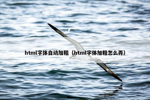 html字体自动加粗（html字体加粗怎么弄）