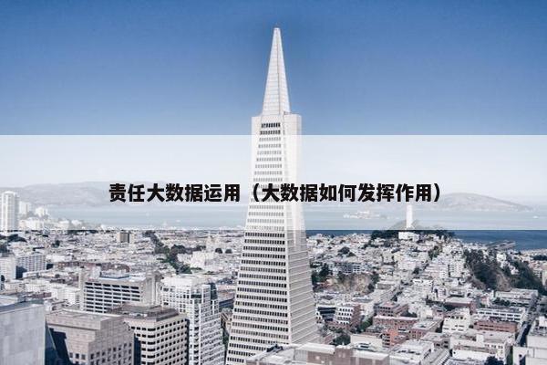 责任大数据运用（大数据如何发挥作用）