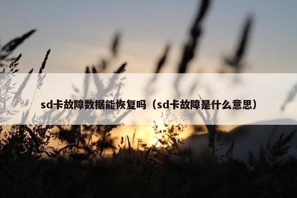 sd卡故障数据能恢复吗（sd卡故障是什么意思）