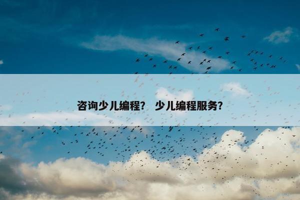 咨询少儿编程？ 少儿编程服务？
