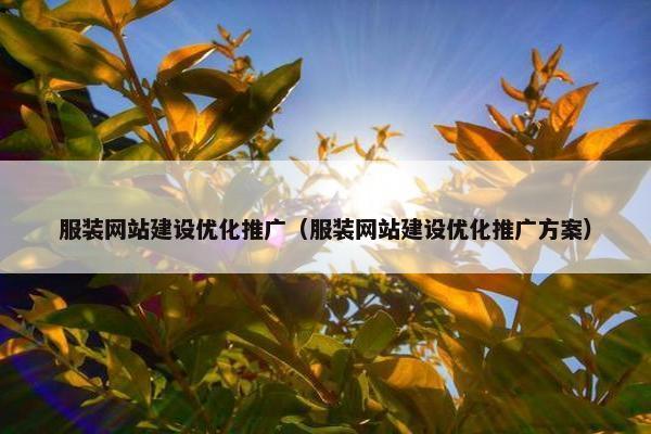 服装网站建设优化推广（服装网站建设优化推广方案）