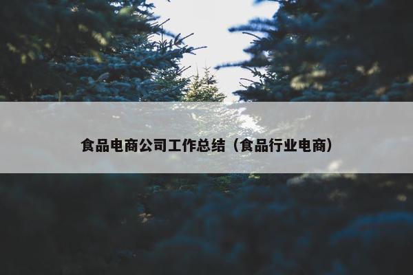 食品电商公司工作总结（食品行业电商）
