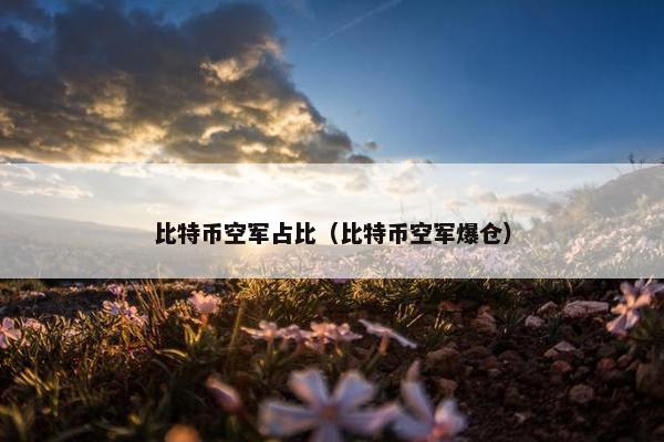 比特币空军占比（比特币空军爆仓）