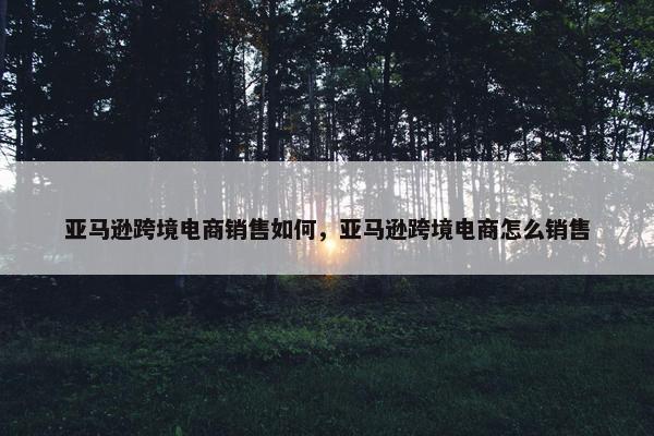 亚马逊跨境电商销售如何，亚马逊跨境电商怎么销售