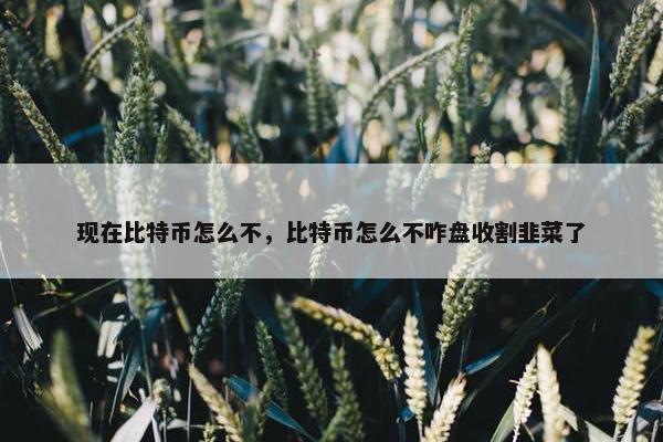 现在比特币怎么不，比特币怎么不咋盘收割韭菜了