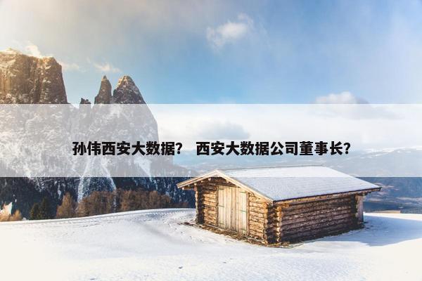 孙伟西安大数据？ 西安大数据公司董事长？