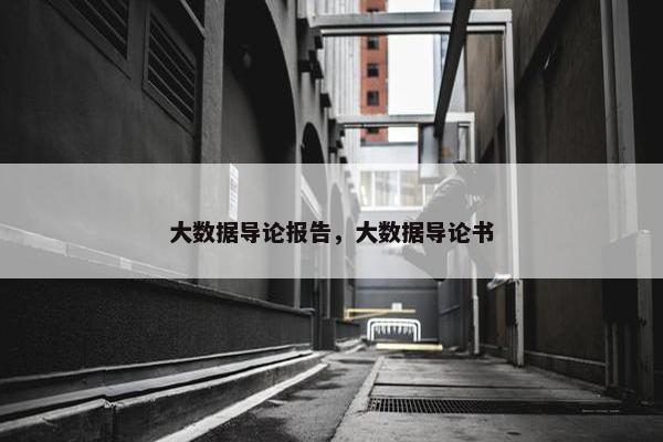 大数据导论报告，大数据导论书