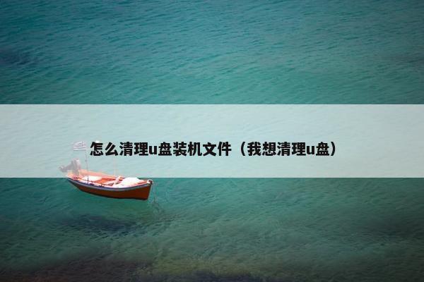 怎么清理u盘装机文件（我想清理u盘）
